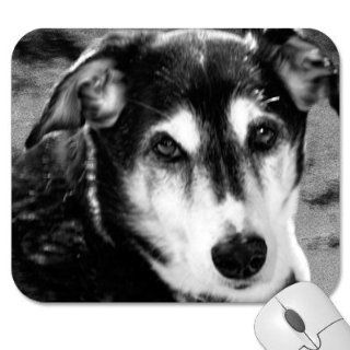 Mousepad   9.25" x 7.75" Designer Mouse Pads   Dog/Dogs (MPDO 294) Computers & Accessories