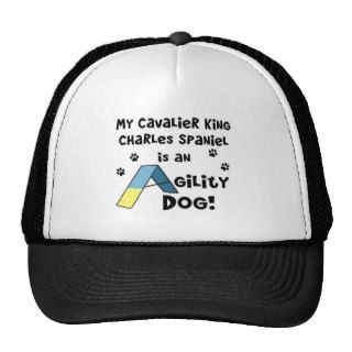 Cavalier King Charles Spaniel Agility Dog Hat