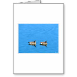 Lets go for a Swim Greeting Cards