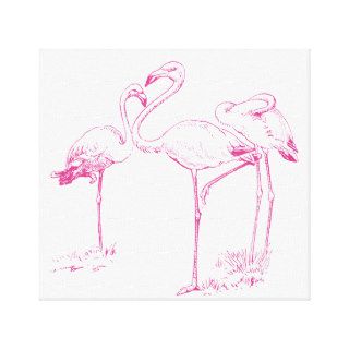 Vintage  Pink Flamingo Drawing Gallery Wrap Canvas