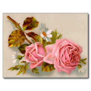 Spring Roses Vintage Postcard