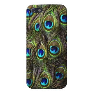 Peacock Feathers phone case iPhone 5 Covers