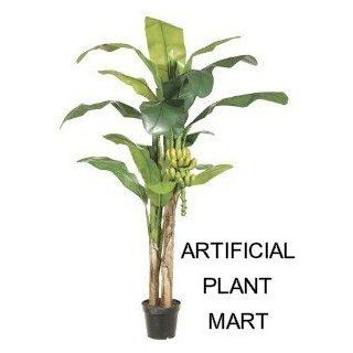Artificial Silk Potted 7 foot + 5 foot Double Banana Tree Palm Plants with bananas and real bark   MORE AVAILABLE  