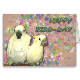 Bird Day Greeting Cards
