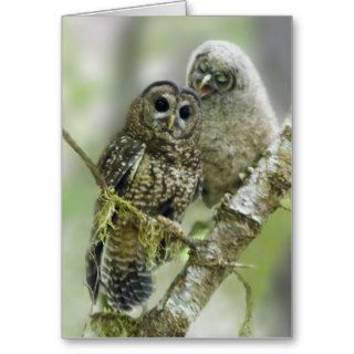 Northern Spotted Owl with her Owlet Greeting Card