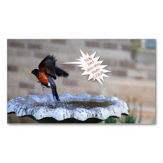 THAT'S COLD Funny Bird Photo Business Cards