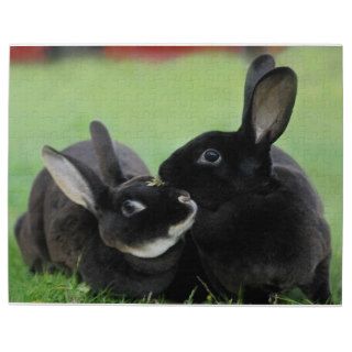 Two Nuzzling Rex Rabbits   Animal Photography Puzzles