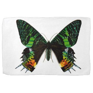 Giant Green Butterfly Towel