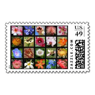 Exotic Flowers Around the World Stamp