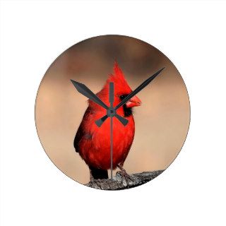 Bird Egggray Bright Red Feathers Clocks