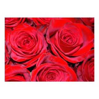 Romantic Girly Red Cute Roses Floral Pattern Cards