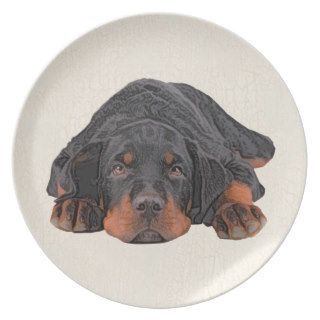 Colored Pencil Drawing Rottweiler Puppy Eyes Dinner Plate