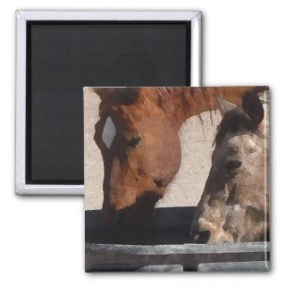 Thirsty Horses Drink at the Water Trough Refrigerator Magnets