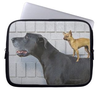 Chihuahua on Great Dane's back Laptop Computer Sleeves