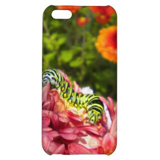 Caterpillar Sunning iPhone 4 case