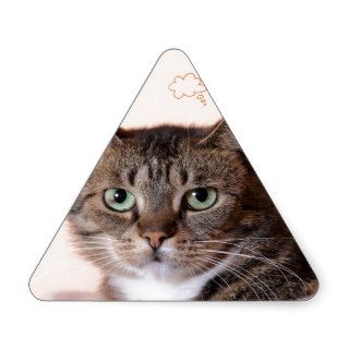 Brown tabby cat with amazing green eyes triangle stickers