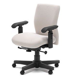 Knoll Bulldog Chair, Ergonomic Mid Back   Task Chairs