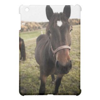 A horse in the nature, vignetting added iPad mini covers
