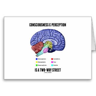 Consciousness Perception Is A Two Way Street Brain Card