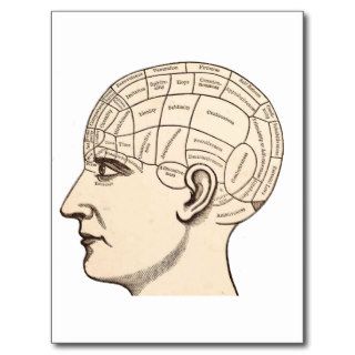 Vintage Anatomy Brain Map Image Postcards