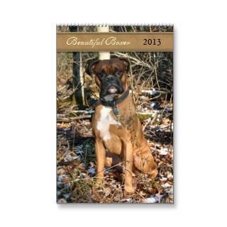 Beautiful Boxer Dog 2013 Calendars