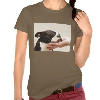 True Friend Boston Terrier T Shirts