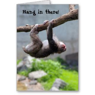 Hang in there Monkey card