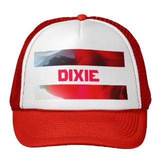Dixie Mesh Hat