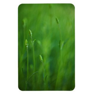 Grass   Green Grasses Background Template Magnet