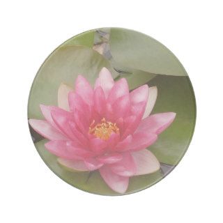 Bright Pink Water Lily Flower Drink Coasters