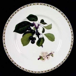 Rosina Queens HookerS Fruit(Fine China,Made In India) Dinner Plate, Fine China