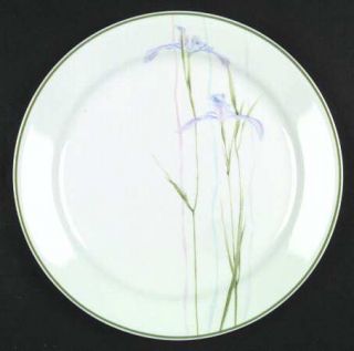 Corning Shadow Iris Dinner Plate, Fine China Dinnerware   Corelle, Purple Flower