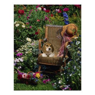 Beagle Garden Poster