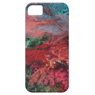 Gorgonian Sea Fans, soft corals, Bligh Water, iPhone 5 Covers