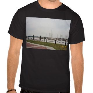 Boston water tee shirt