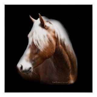 Horse in Black Poster