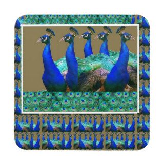 Enjoy  PEaCOCK n Feathers Art Graphics Coasters