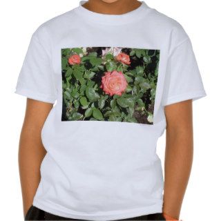 Coral Colored Rose Tshirt