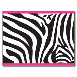 Zebra Print Postcards