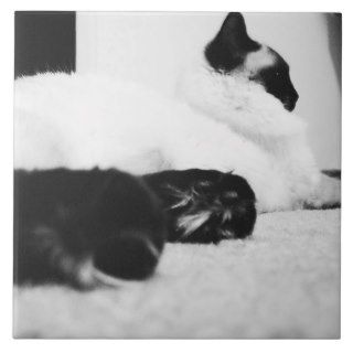 Tile Black & White Ragdoll Cat 1962