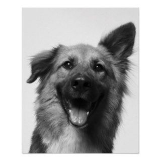 Smiling Dog with One Ear up, One Ear Down, B&W Print