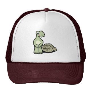 Cartoon Shell less Tortoise Hat