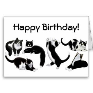 Happy Birthday Tuxedo Cats Card