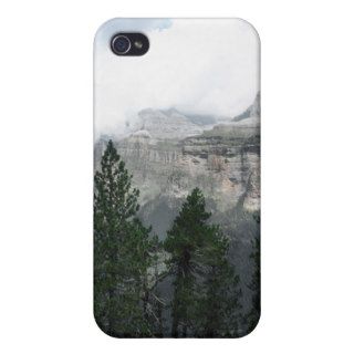 Coniferous Forest Beside a Large Canyon iPhone 4/4S Cover