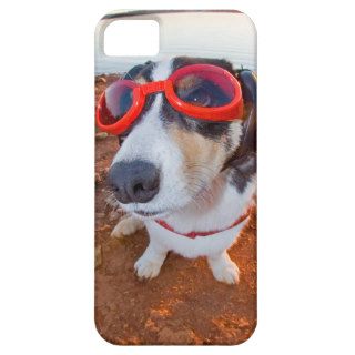 Safety Dog iPhone 5 Cases