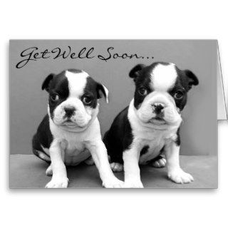 Get Well Soon Boston Terrier Puppies card