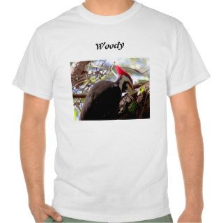 Woody Shirts