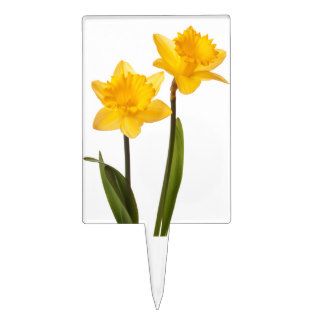 Yellow Daffodils on White   Daffodil Flower Blank Cake Topper