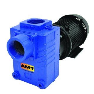 AMT Pump 2876 95 Self Priming Centrifugal Pump, Cast Iron, 7 1/2 HP, 3 Phase, 208 230/460 V, Curve C, 3" NPT Female Suction & Discharge Ports Industrial Centrifugal Pumps