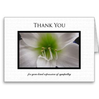 Sympathy Thank You Note Card   White Amaryllis